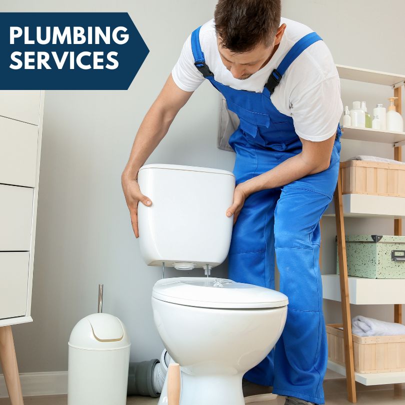Plumbing Company in Earlville, IA